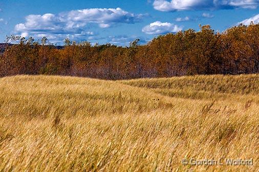 Autumn Dunes_09165.jpg - Presqu'ile Provincial Park photographed near Brighton, Ontario, Canada.